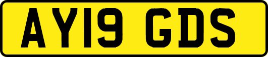 AY19GDS