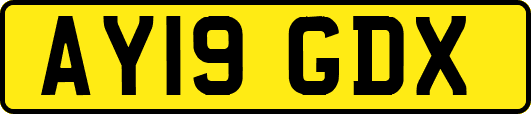 AY19GDX