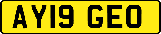 AY19GEO