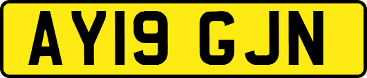 AY19GJN