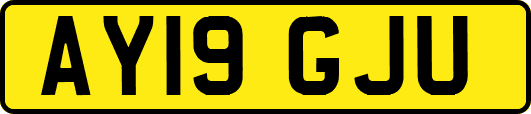 AY19GJU