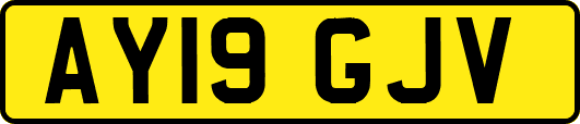 AY19GJV