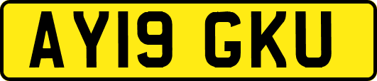 AY19GKU