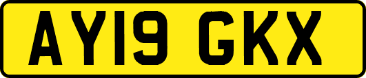 AY19GKX