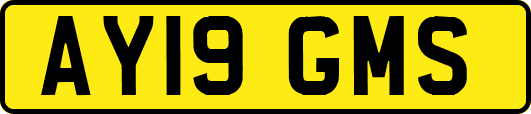 AY19GMS