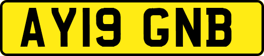 AY19GNB