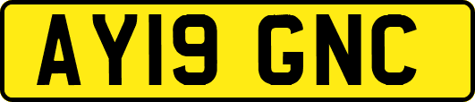 AY19GNC