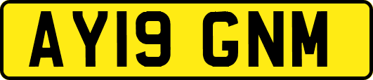 AY19GNM