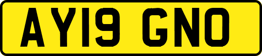 AY19GNO