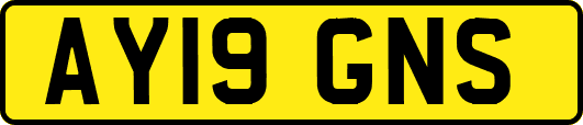AY19GNS