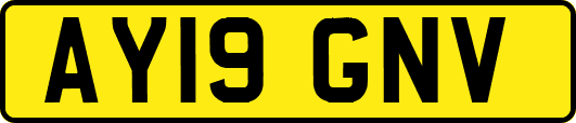 AY19GNV