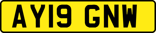AY19GNW