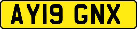 AY19GNX