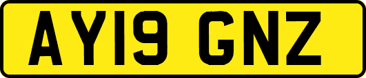 AY19GNZ
