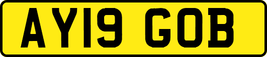 AY19GOB