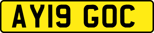 AY19GOC