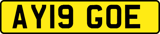 AY19GOE