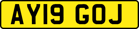 AY19GOJ