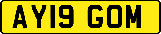 AY19GOM