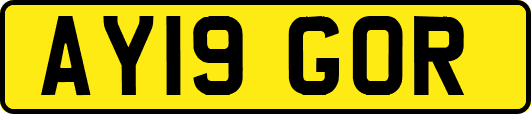 AY19GOR