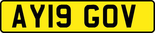 AY19GOV