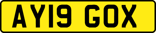 AY19GOX