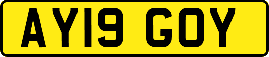 AY19GOY
