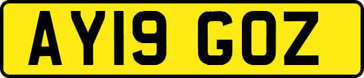 AY19GOZ
