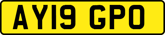 AY19GPO