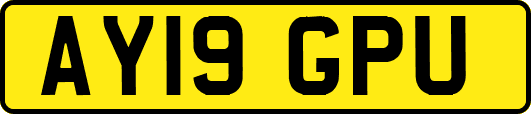 AY19GPU