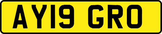 AY19GRO