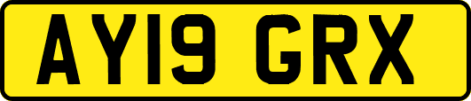 AY19GRX