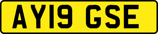 AY19GSE