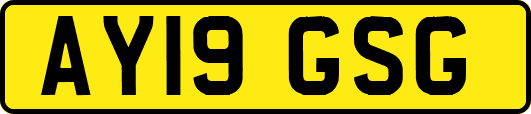 AY19GSG