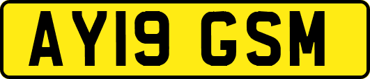 AY19GSM