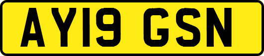 AY19GSN