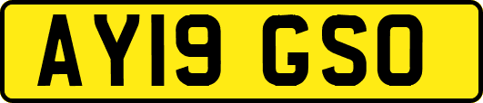 AY19GSO