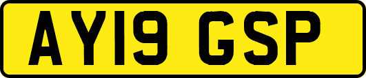 AY19GSP