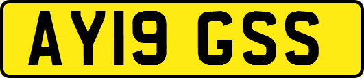 AY19GSS