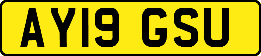 AY19GSU