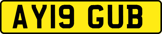 AY19GUB
