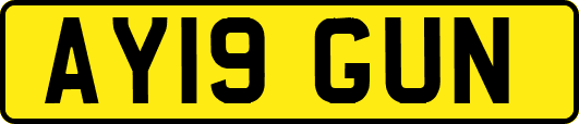 AY19GUN