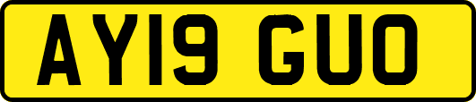 AY19GUO