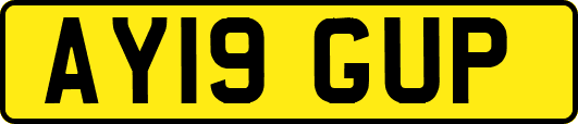 AY19GUP