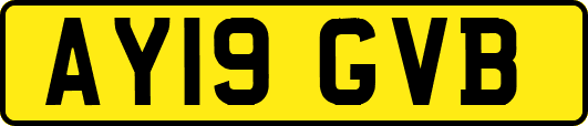 AY19GVB