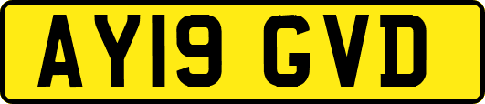 AY19GVD