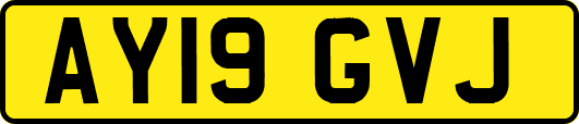 AY19GVJ