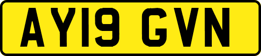 AY19GVN