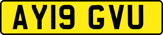 AY19GVU