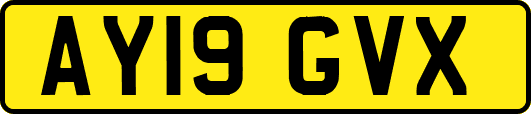 AY19GVX